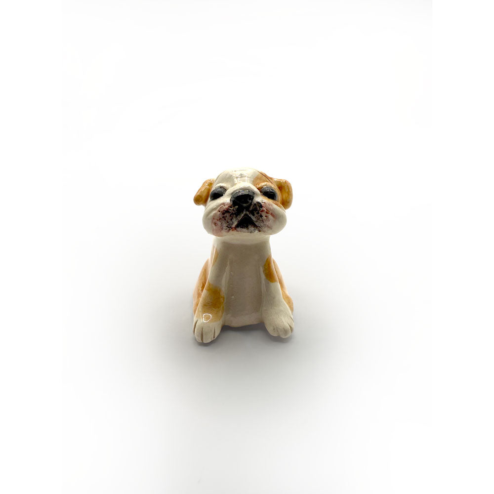 Animal miniatura personalizado