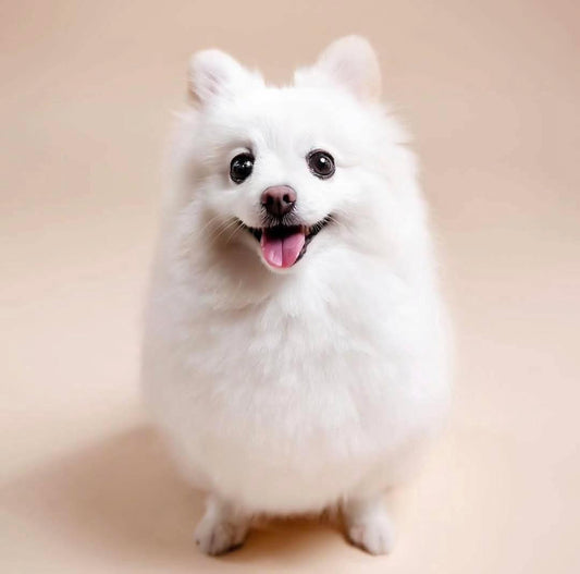 Taza cara de perrito